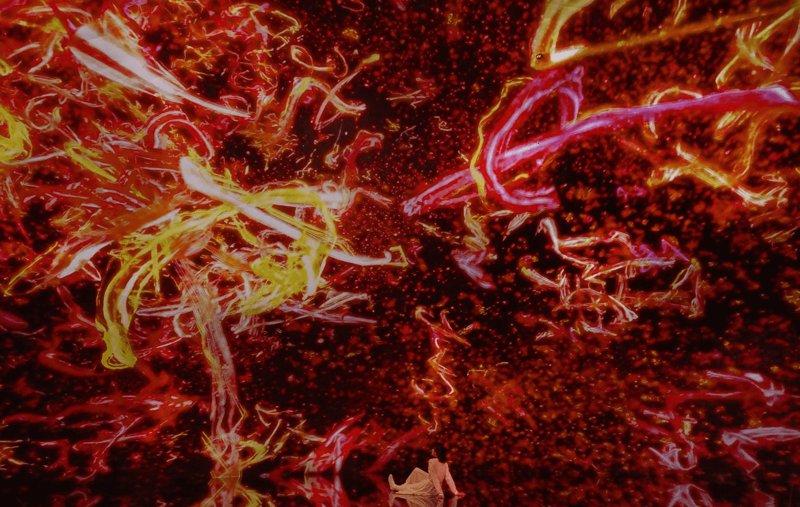 京都teamLab 2025｜5. 永恆文字宇宙